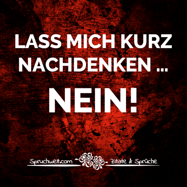 Lass mich kurz nachdenken…. NEIN! - Freche Spruchbilder & Antisprüche