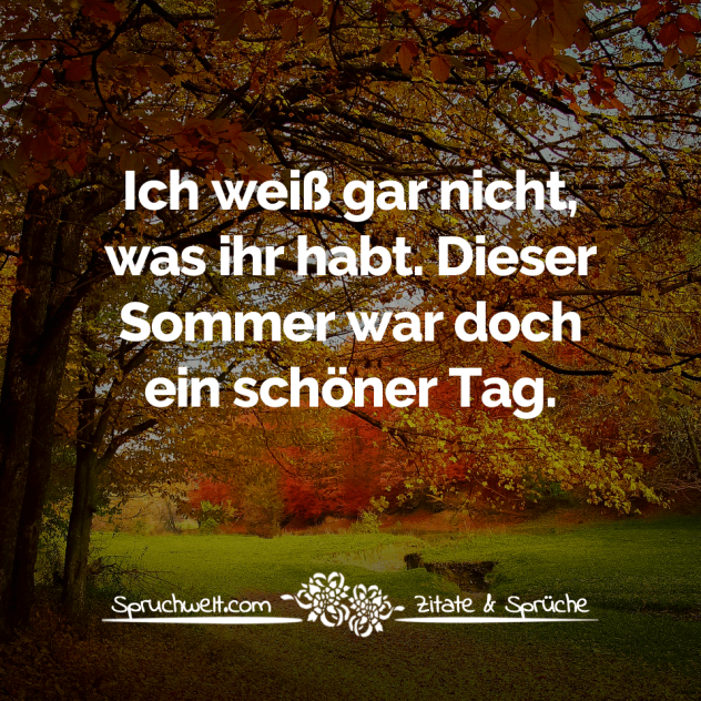 Ich weiß gar nicht, was ihr habt. Dieser Sommer war doch ein schöner Tag - Fun Sprüche - Lustige Spruchbilder - Witzige Zitate