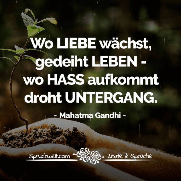 Wo Liebe wächst, gedeiht Leben - wo Hass aufkommt droht Untergang - Mahatma Gandhi Zitate