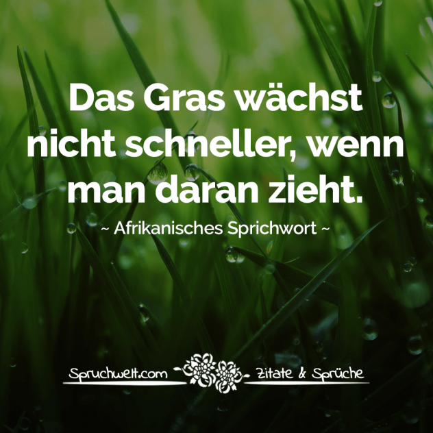 Das Gras wächst nicht schneller, wenn man daran zieht - Afrikanisches Sprichwort