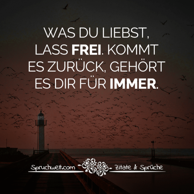 Was du liebst, lass frei. Kommt es zurück, gehört es dir für immer - Schöne Sprüche & Bekannte Zitate - Spruchbilder zum Nachdenken