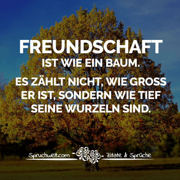 Freundschaft ist wie ein Baum. Es zählt nicht, wie groß er ist, sondern wie tief seine Wurzeln sind - Sprüche über Freundschaft