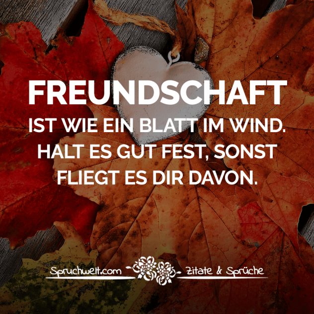 Freundschaft ist wie ein Blatt im Wind. Halt es gut fest, sonst fliegt es dir davon - Freundschaftssprüche