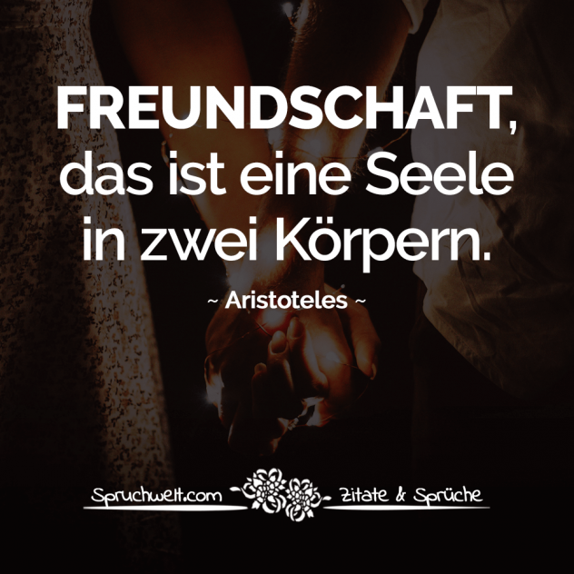 Freundschaft, das ist eine Seele in zwei Körpern - Aristoteles Zitate