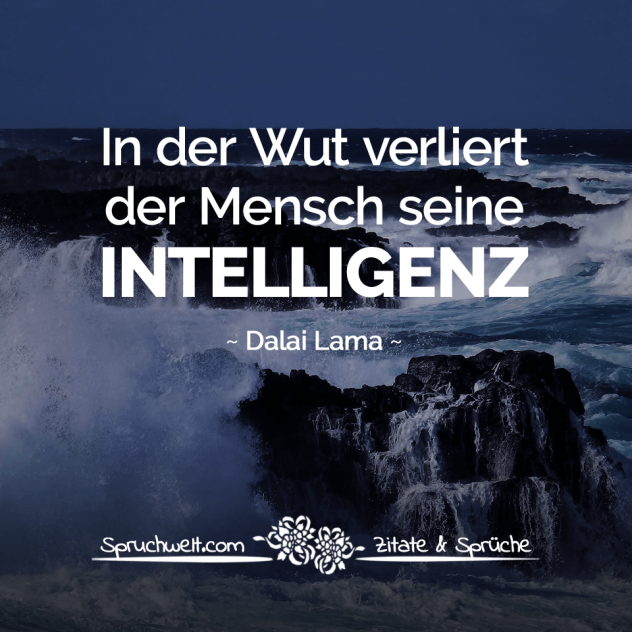 In der Wut verliert der Mensch seine Intelligenz - Dalai Lama Zitate