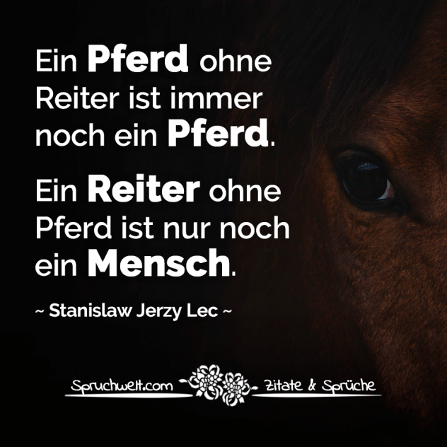 Ein Pferd ohne Reiter ist immer noch ein Pferd. Ein Reiter ohne Pferd ist nur noch ein Mensch. - Stanislaw Jerzy Lec Zitat