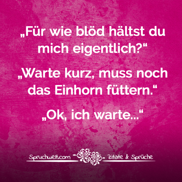 Für wie blöd hältst du mich eigentlich? Warte kurz, muss noch das Einhorn füttern - Einhorn Sprüche