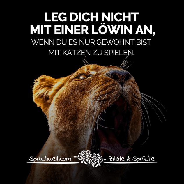 Leg dich nicht mit einer Löwin an, wenn du es nur gewohnt bist mit Katzen zu spielen - Selbstbewusste Sprüche