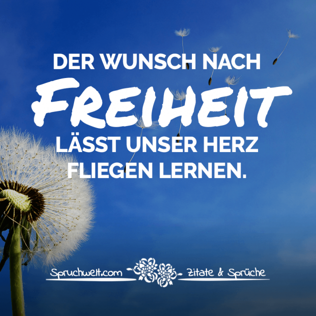 Der Wunsch nach Freiheit lässt unser Herz fliegen lernen - Hoffnungsvolle Sprüche über Freiheit