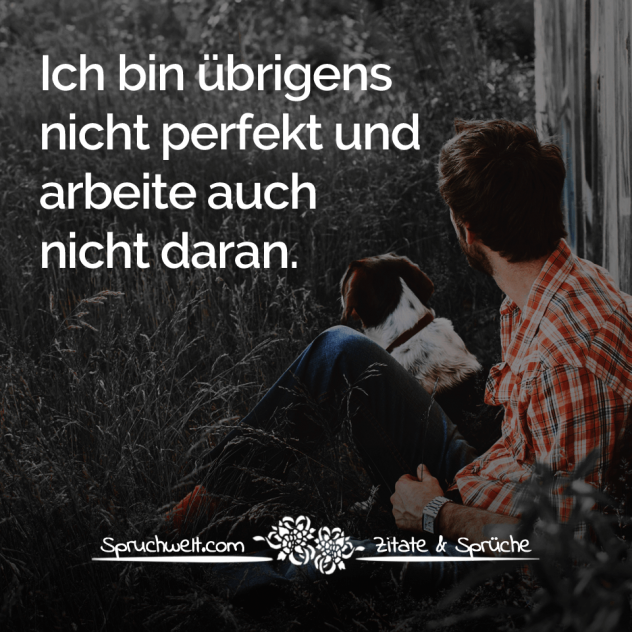 Ich bin übrigens nicht perfekt und arbeite auch nicht daran - Freiheit: Zitate & Sprüche über Freiheit & Unabhängigkeit