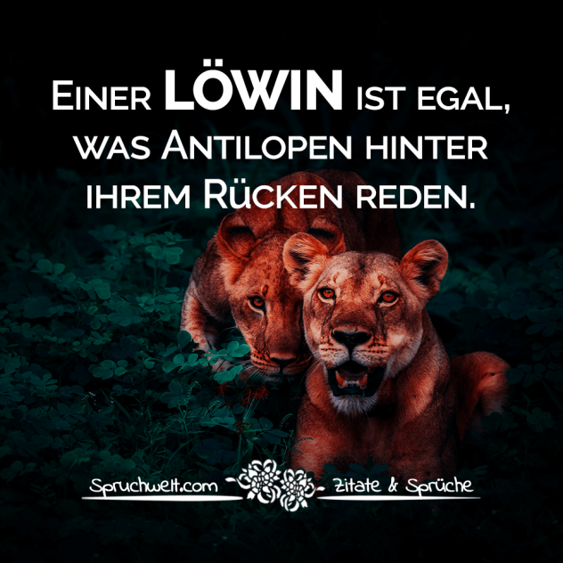 Einer Löwin ist egal, was Antilopen hinter ihrem Rücken reden - Selbstbewusste Sprüche