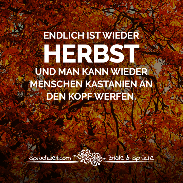 Endlich ist wieder Herbst und man kann wieder Menschen Kastanien an den Kopf werfen. - Fun Sprüche - Lustige Spruchbilder - Witzige Zitate