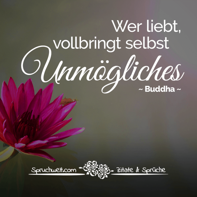 Wer liebt, vollbringt selbst Unmögliches - Buddha Zitate