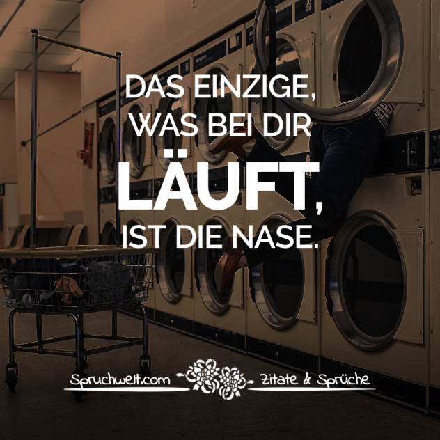 Das Einzige, was bei dir läuft, ist die Nase. - Fun Sprüche - Lustige Spruchbilder - Witzige Zitate