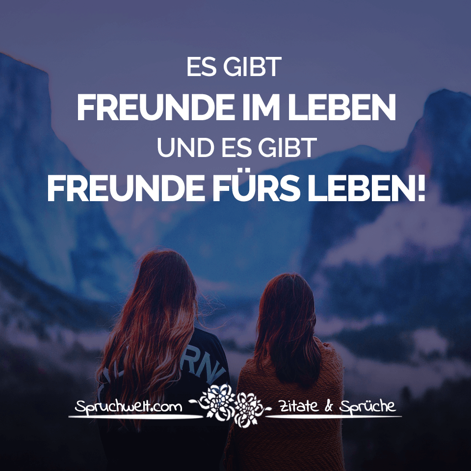 Freundschaft Schöne Zitate Sprüche über Echte Freunde