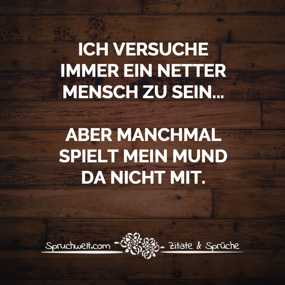 Ich versuche immer ein netter Mensch zu sein... aber manchmal spielt mein Mund da nicht mit