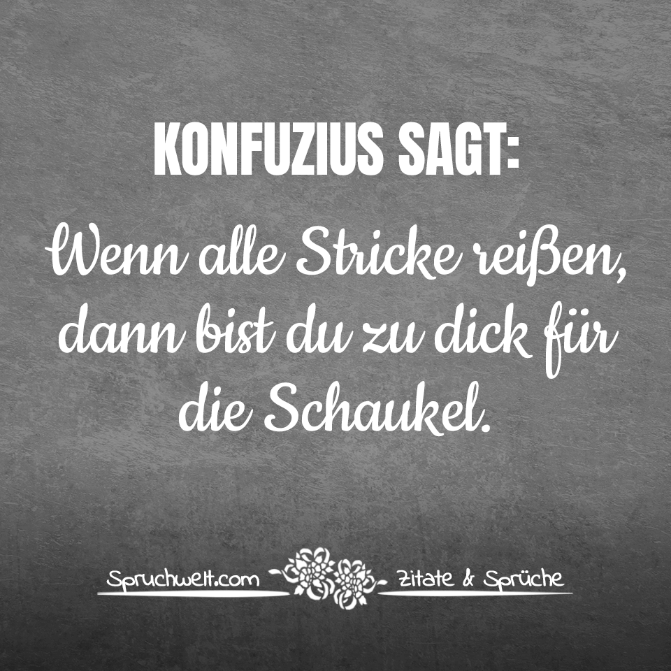 Konfuzius sagt: Wenn alle Stricke reißen, dann bist du zu dick für die Schaukel - Witzige Antisprüche
