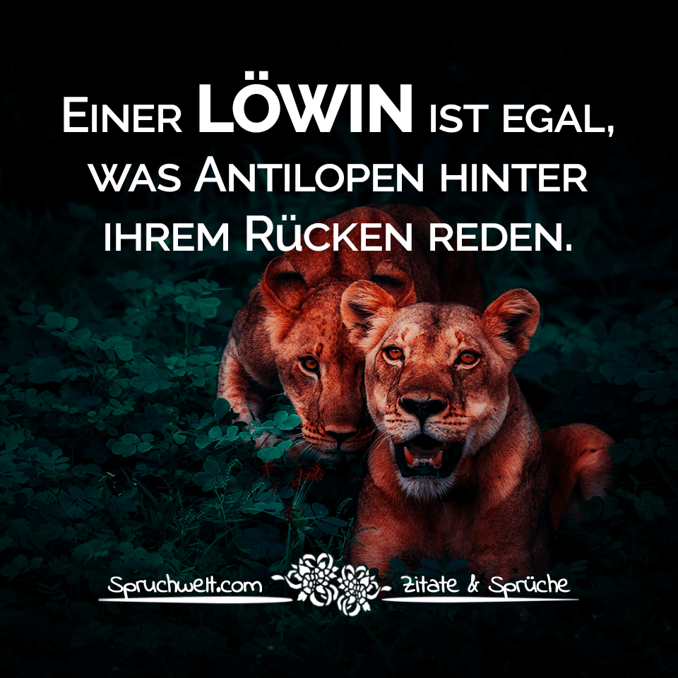 Einer Löwin Ist Egal Was Antilopen Hinter Ihrem Rücken Reden