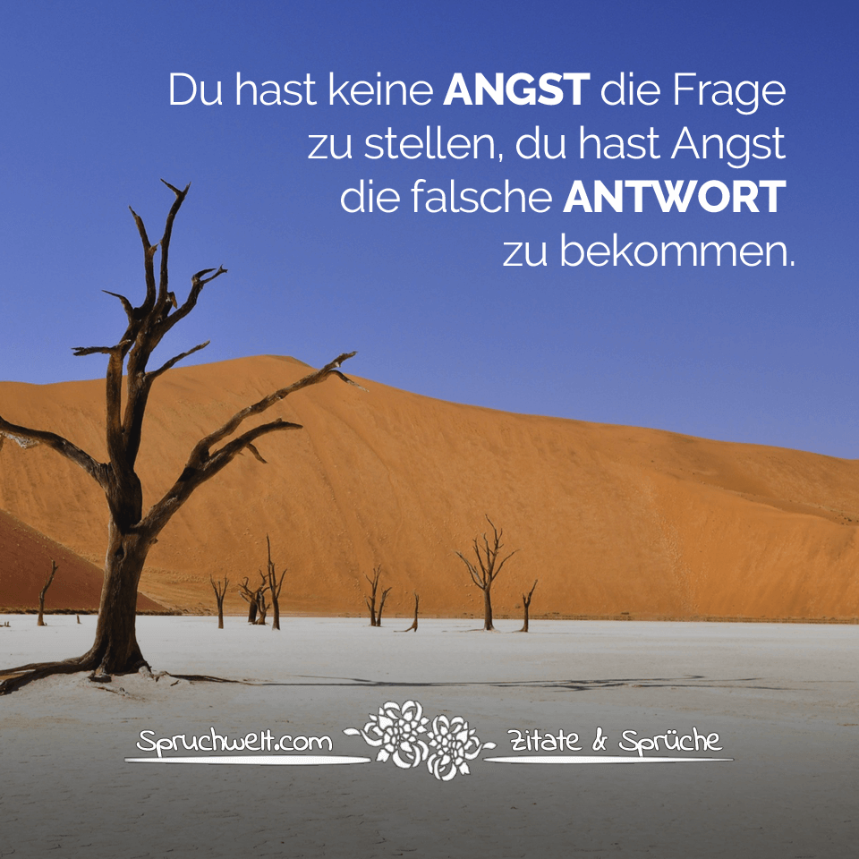Du hast keine Angst die Frage zu stellen du hast Angst die falsche Antwort zu bekommen - Melancholische Sprüche