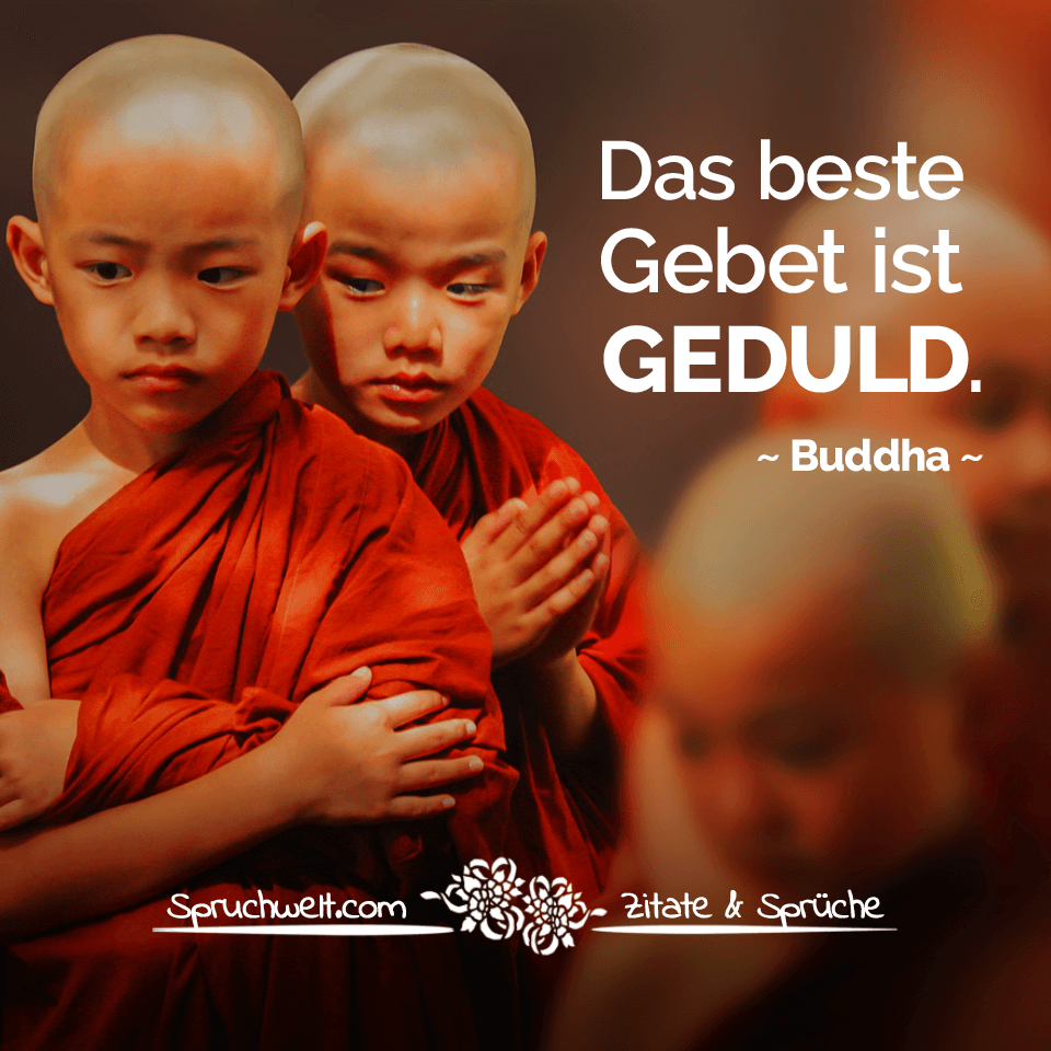 Buddhas Weisheiten Cheap Denken Wir An Das Was Einen