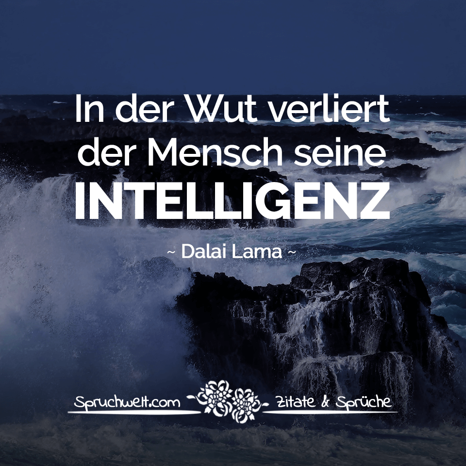 spruchwelt zitat dalai lama in der wut verliert der mensch seine intelligenz