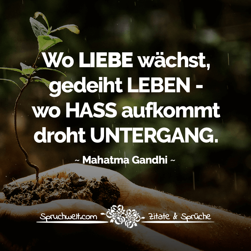 36+ Spruchwelt com zitate und sprueche info